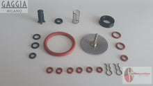 Load image into Gallery viewer, Gaggia Titanium repair kit with multiple seals springs and metal parts for espresso machines
