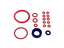 Load image into Gallery viewer, Saeco Magic Royal Incanto Complete Gasket Kit - 17 piece set - Coffeesection
