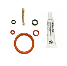 Laden Sie das Bild in den Galerie-Viewer, Saeco Odea, Talea, Primea, Xsmall Brew Group Repair Kit &amp; 6g Silicon Grease - Coffeesection
