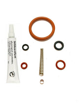 Laden Sie das Bild in den Galerie-Viewer, Saeco Odea, Talea, Primea, Xsmall Brew Group Repair Kit &amp; 6g Silicon Grease - Coffeesection
