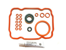 Load image into Gallery viewer, Saeco Vienna, Spidem Trevi, Chiara, Villa Repair Kit with Silicon - 18 piece set - Coffeesection

